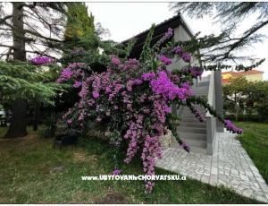 Flowers Appartamento Medulin, Fucane 2