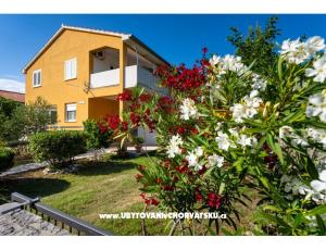Appartamento Agava Seline