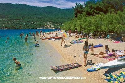 Appartamento 2-4, 4-5 persons