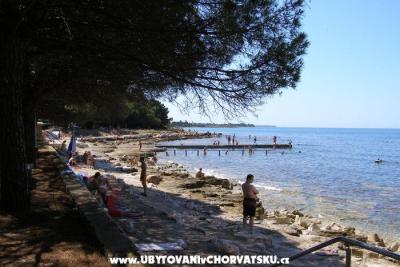 Appartamenti San Pelegrin