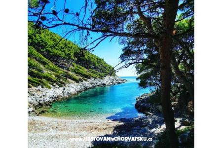 Appartamenti Radulj foto 3