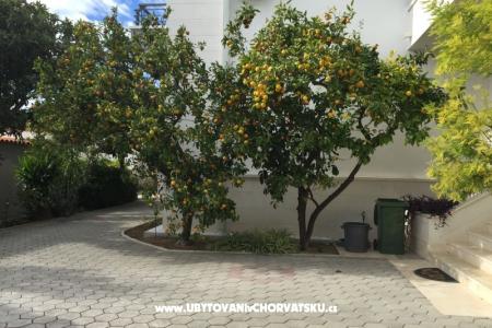 Casa Grazia foto 5