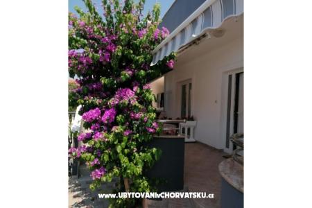 Appartamenti Šime foto 3