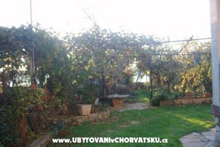Appartamenti and Casa Spika foto 5