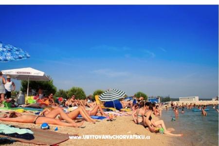 LV Appartamenti foto 5