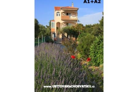 Appartamenti Alena foto 2