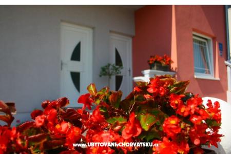 Appartamentoy Kus foto 4