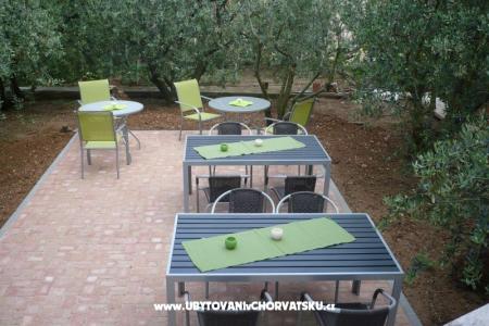 Appartamenti Olive foto 4