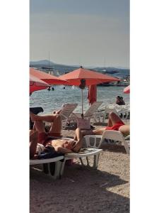 Appartamenti Stefani foto 2