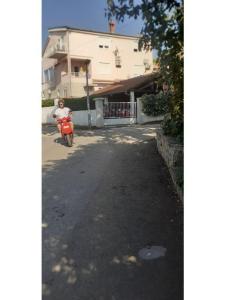 Appartamenti Stefani foto 3