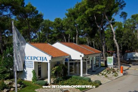 Campeggioovi Dalmacija foto 4