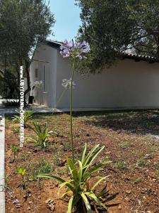 Primorje – Biograd Croazia