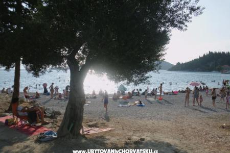 Appartamenti  Petar foto 4