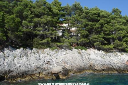 Casa Ancila i Kupa foto 5