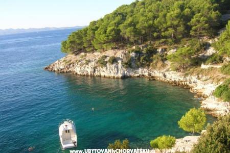 Appartamenti Rogosic foto 4