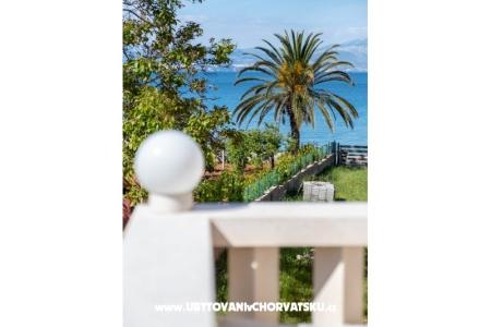 Villa Nelly Isola di Brac Croazia