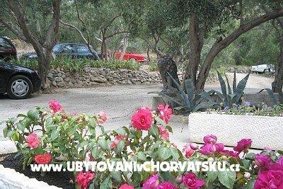 Appartamenti Nada Mustapić foto 3