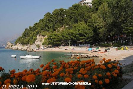 Appartamenti Nela foto 3