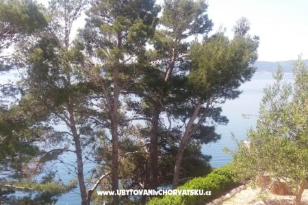 Appartamenti Vesna  - Brela foto 4
