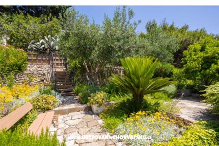 Appartamenti Villa Porat foto 3