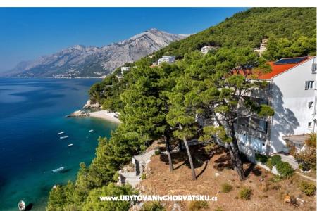 Pine Canopy Studios and Appartamenti foto 2