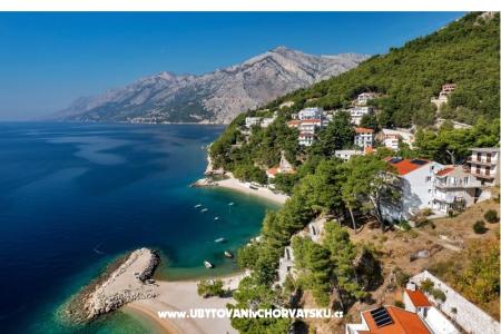 Pine Canopy Studios and Appartamenti foto 3