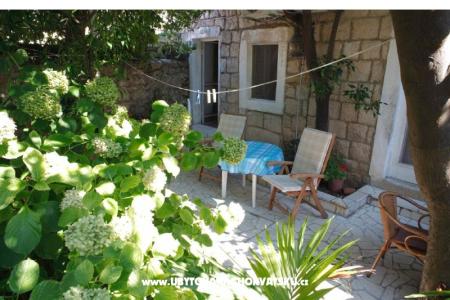 Appartamento Milu foto 3