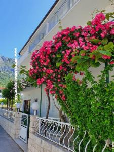 Appartamenti Villa Ivan Drvenik foto 2