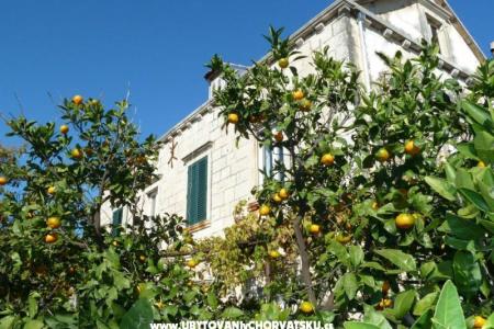 Appartamenti Mir Dubrovnik foto 2