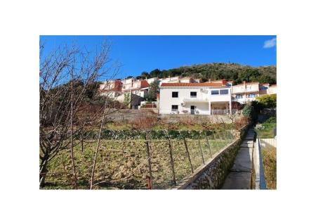 Appartamento Markovic foto 2