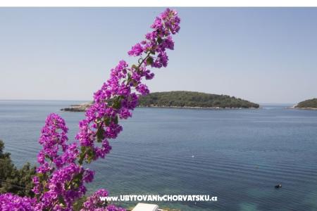 Appartamenti Rašica foto 5