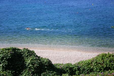 Villa Doris Appartamenti foto 5