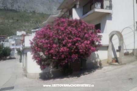 Appartamento Pero foto 3