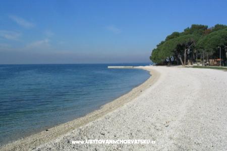 Appartamenti L Fazana Croazia