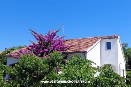 Case vacanza - Appartamento Milka foto 2