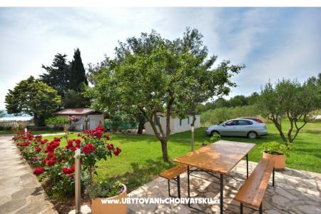 Appartamenti Miluška foto 5