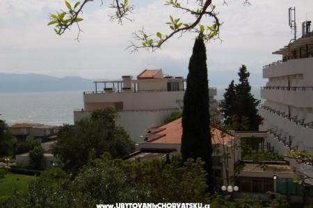 Appartamento Gradac Falak foto 2