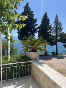 Appartamenti NIKOLA foto 3
