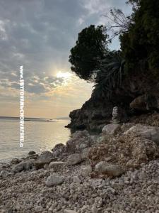Appartamenti NIKOLA foto 5