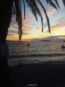 Appartamenti Vesna foto 4