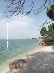 Appartamenti Lela Brist foto 4
