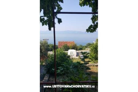 Casa Maslina foto 4