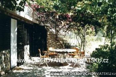 Appartamenti Bougainvillea foto 2