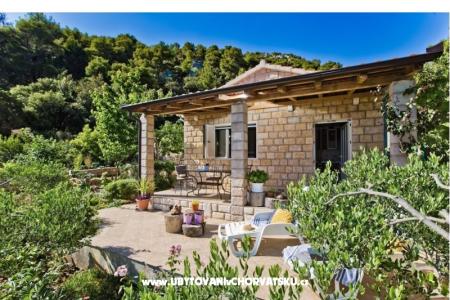 Casa Patrizia foto 4