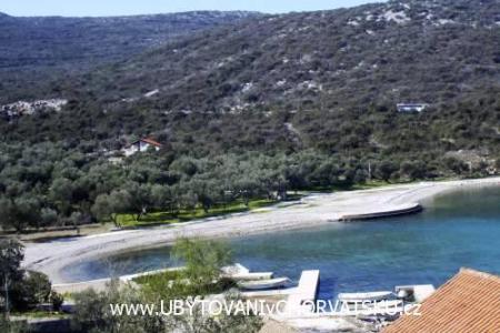 Appartamenti Mirjana  foto 3