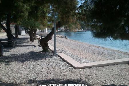 Appartamento Javorska foto 2