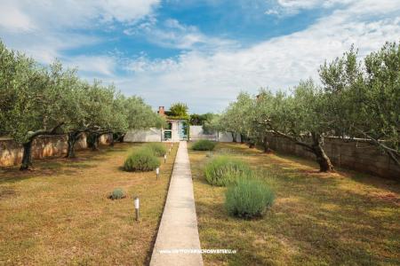 Casa sulla spiaggia foto 2
