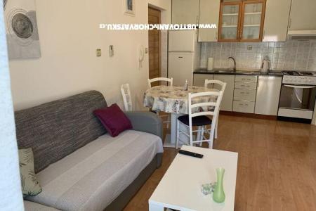 Appartamento Mijoc (Loza) foto 3