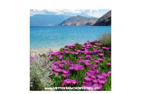Appartamenti Capic foto 3