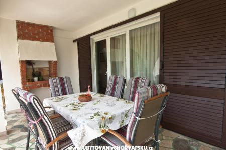 Sea Dream foto 5